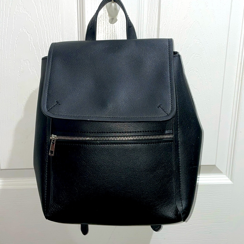 Zara Basic Collection